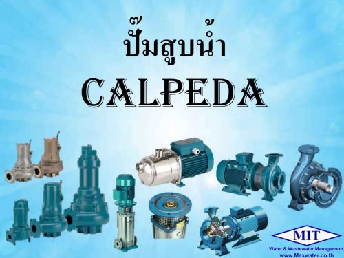 ปั๊มสูบน้ำ Calpeda